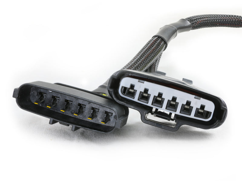 Load image into Gallery viewer, Photo - Close Up
