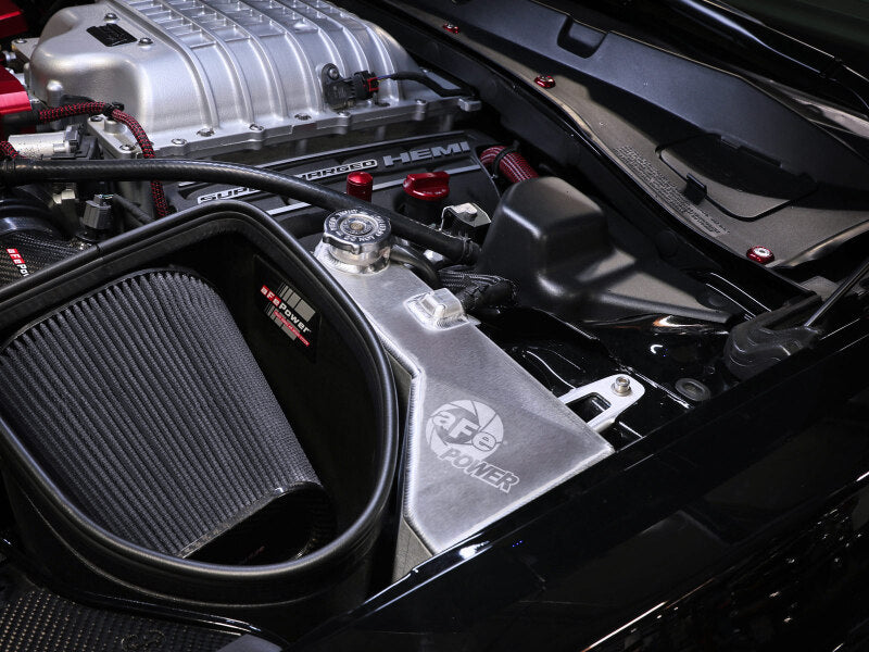 Load image into Gallery viewer, Photo - Mounted
