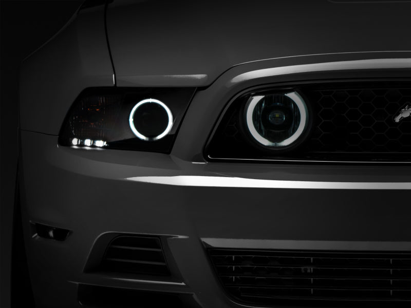 Load image into Gallery viewer, Raxiom 13-14 Ford Mustang GT CCFL Halo Fog Lights (Smoked)
