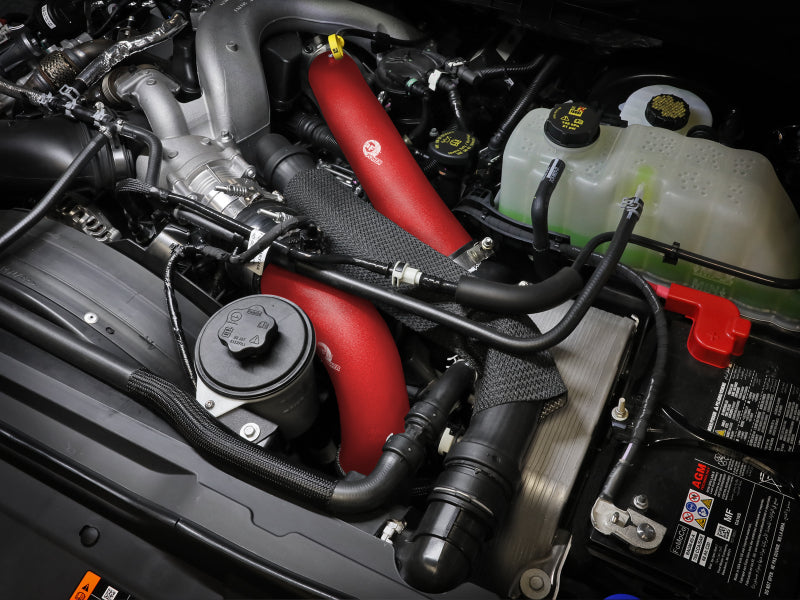 Load image into Gallery viewer, Photo - Mounted
