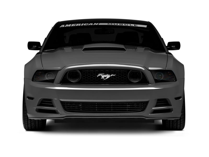 Load image into Gallery viewer, Raxiom 13-14 Ford Mustang GT CCFL Halo Fog Lights (Smoked)
