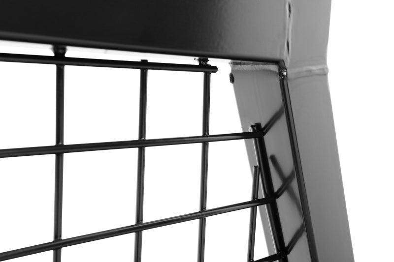 Load image into Gallery viewer, Photo - Close Up
