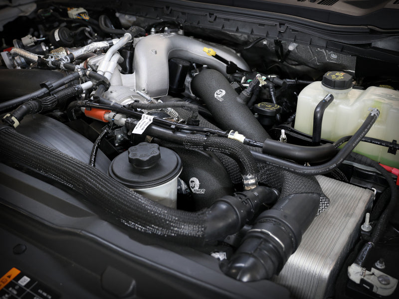 Load image into Gallery viewer, Photo - Mounted
