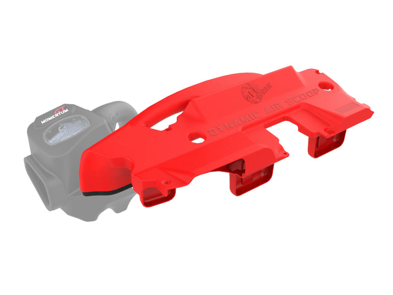 Load image into Gallery viewer, Photo - Primary
