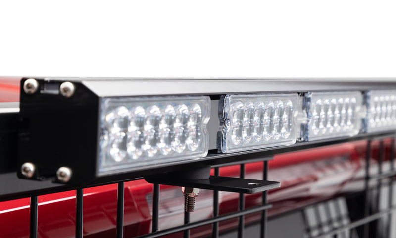 Load image into Gallery viewer, Photo - Mounted
