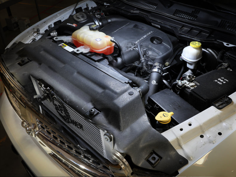 Load image into Gallery viewer, Photo - Mounted
