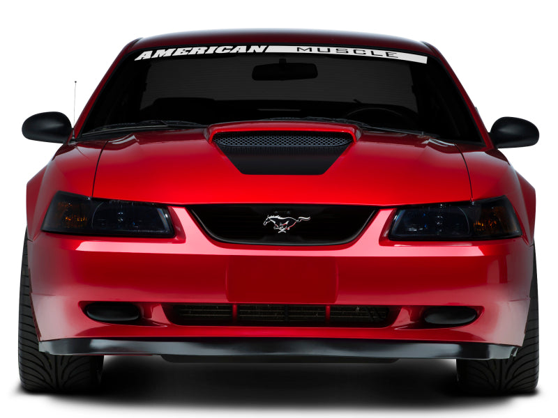 Load image into Gallery viewer, Raxiom 99-04 Ford Mustang Axial Series OE Style Headlights- Black Housing (Smoked Lens)
