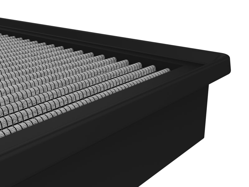 Load image into Gallery viewer, Photo - Close Up
