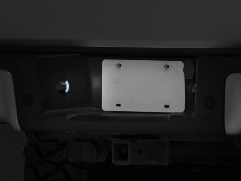 Load image into Gallery viewer, Raxiom 01-14 Ford F-150 Axial Series LED License Plate Light Bulb
