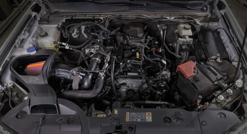 Load image into Gallery viewer, Photo - Mounted
