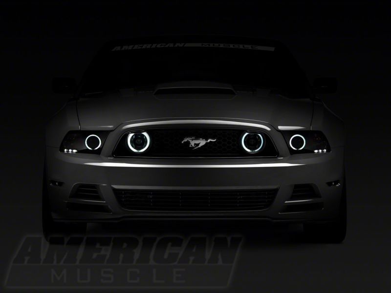 Load image into Gallery viewer, Raxiom 13-14 Ford Mustang GT CCFL Halo Fog Lights- Chrome
