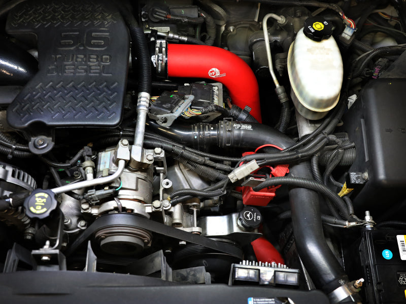 Load image into Gallery viewer, Photo - Mounted
