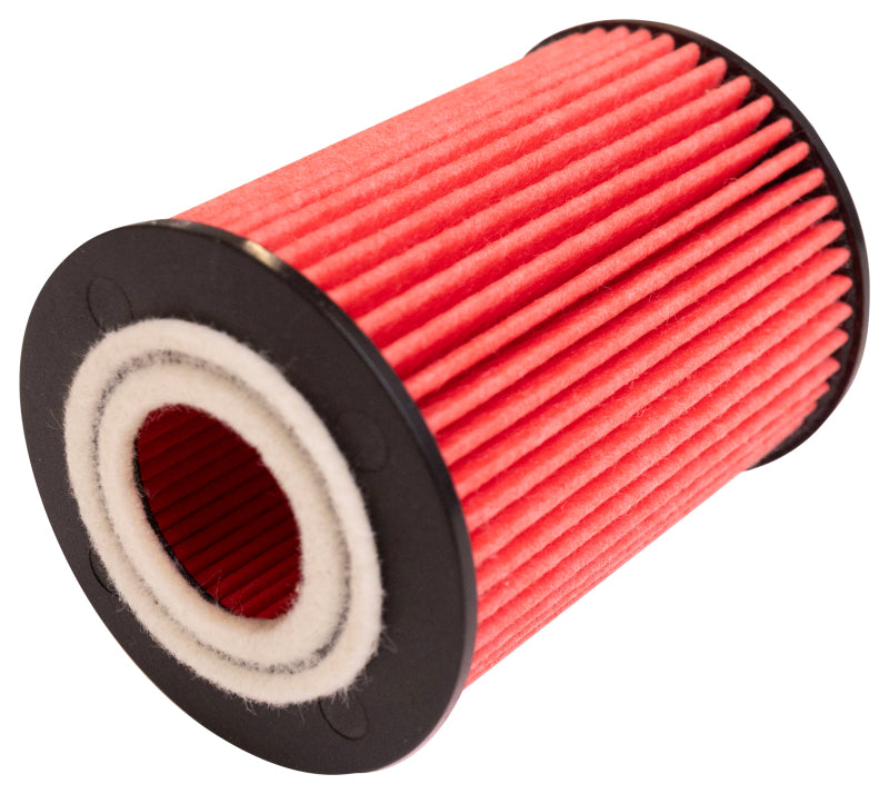 Load image into Gallery viewer, K&amp;N Oil Filter Automotive 20-26 Great Wall Cannon
