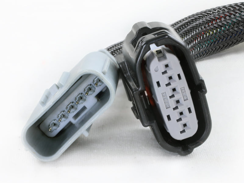 Load image into Gallery viewer, Photo - Close Up
