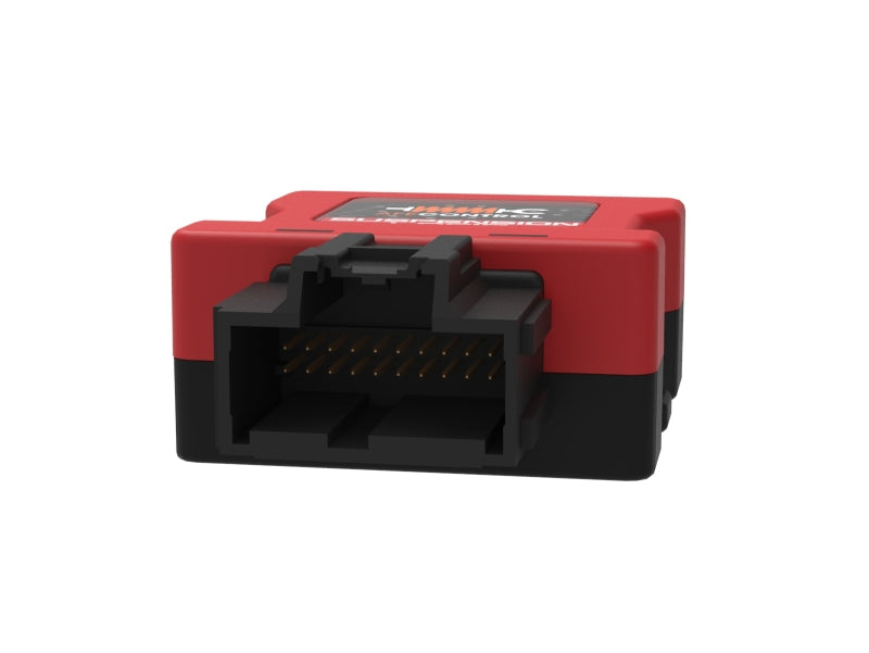 Load image into Gallery viewer, Photo - Unmounted
