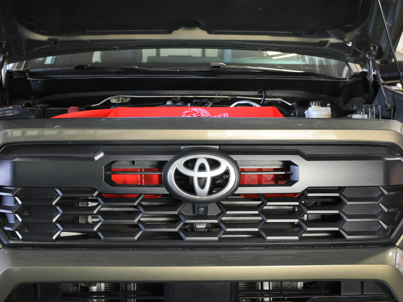 Load image into Gallery viewer, Photo - Mounted
