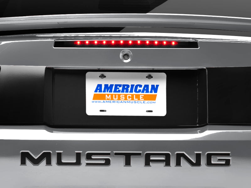 Load image into Gallery viewer, Raxiom 99-04 Ford Mustang Excluding 03-04 Cobra LED Third Brake Light (Smoked)
