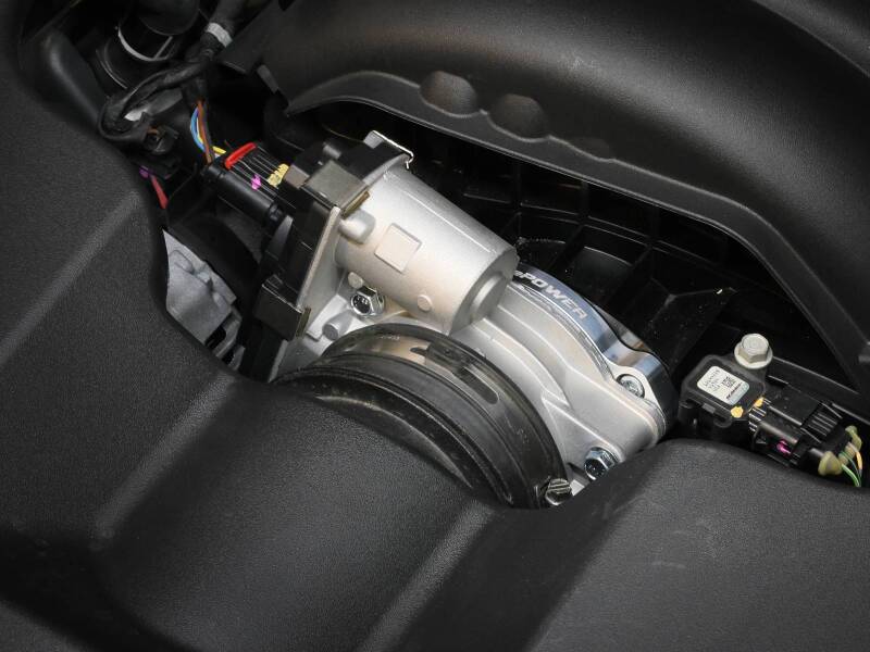 Load image into Gallery viewer, Photo - Mounted
