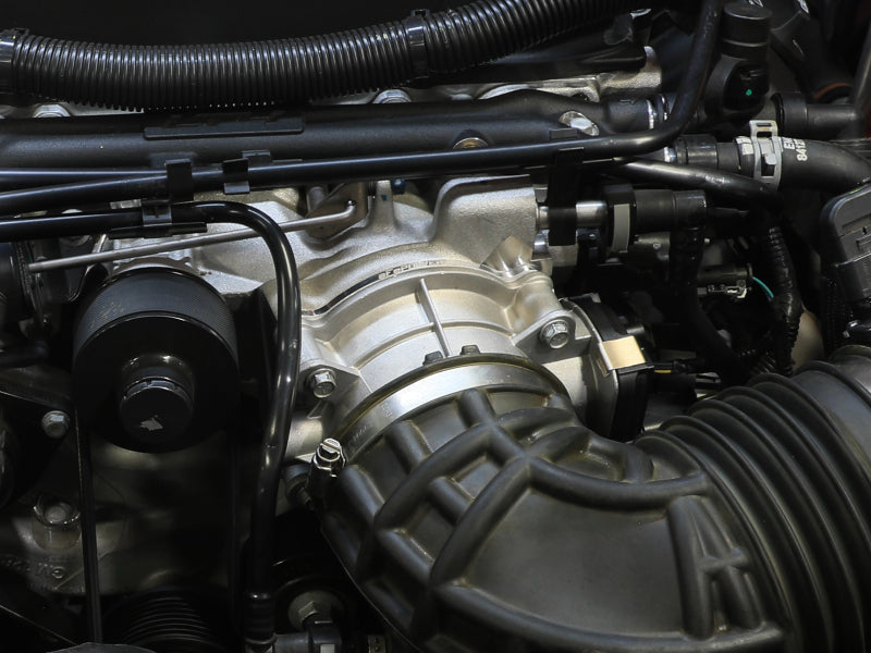 Load image into Gallery viewer, Photo - Mounted
