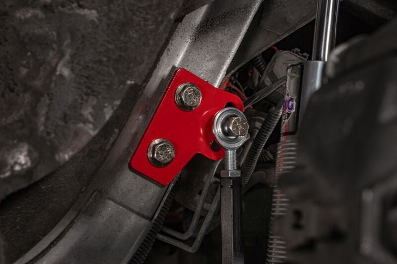 Load image into Gallery viewer, Photo - Mounted
