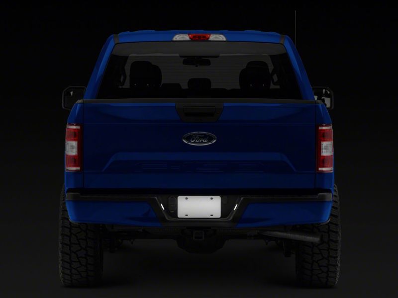 Load image into Gallery viewer, Raxiom 15-23 Ford F-150 Axial Series LED License Plate Lamps
