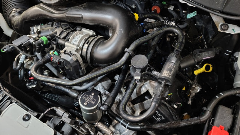 Load image into Gallery viewer, Photo - Mounted
