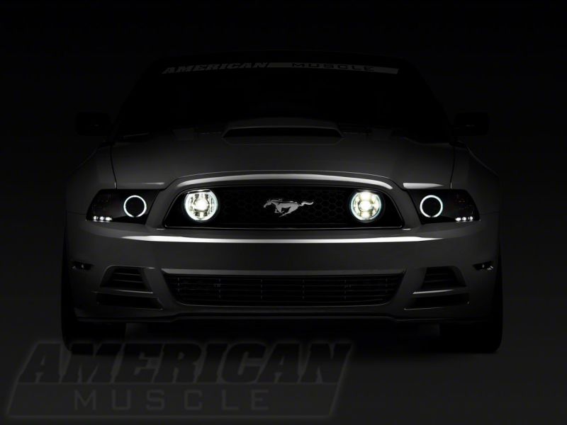 Load image into Gallery viewer, Raxiom 13-14 Ford Mustang GT CCFL Halo Fog Lights- Chrome
