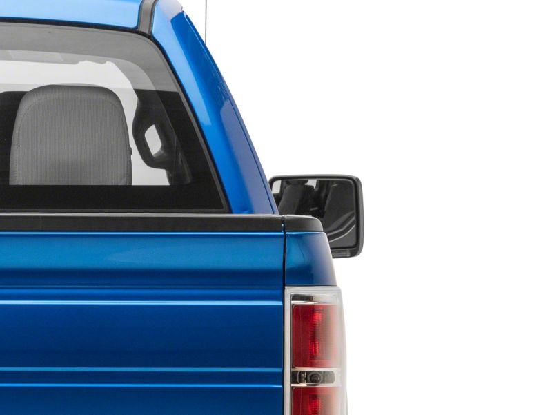 Load image into Gallery viewer, Raxiom 04-14 Ford F-150 Axial Series LED Sequential Mirror Mounted Turn Signals- Clear
