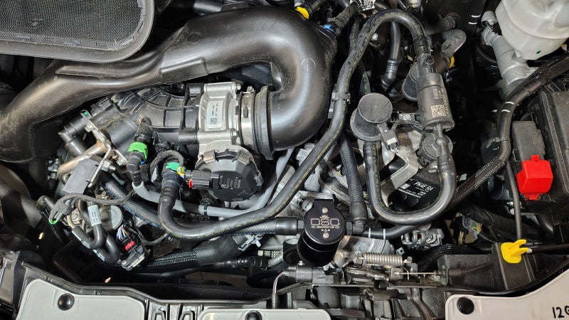 Load image into Gallery viewer, Photo - Mounted
