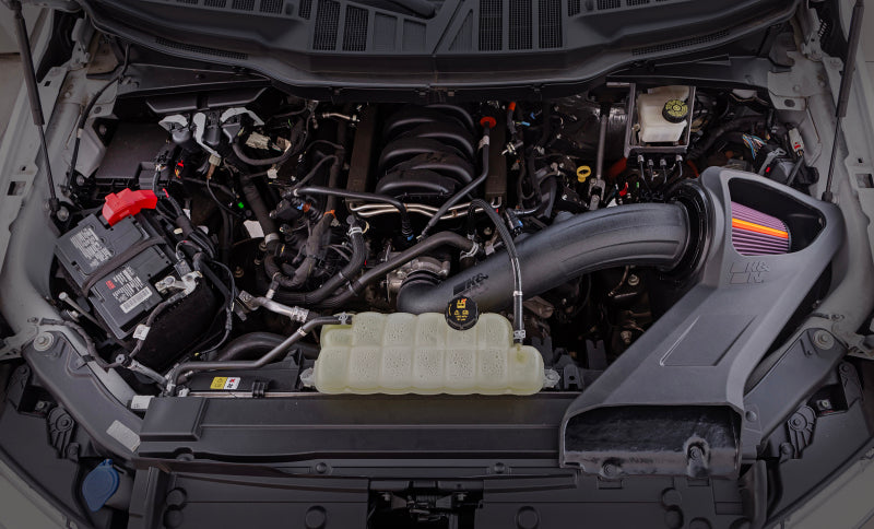 Load image into Gallery viewer, Photo - Mounted
