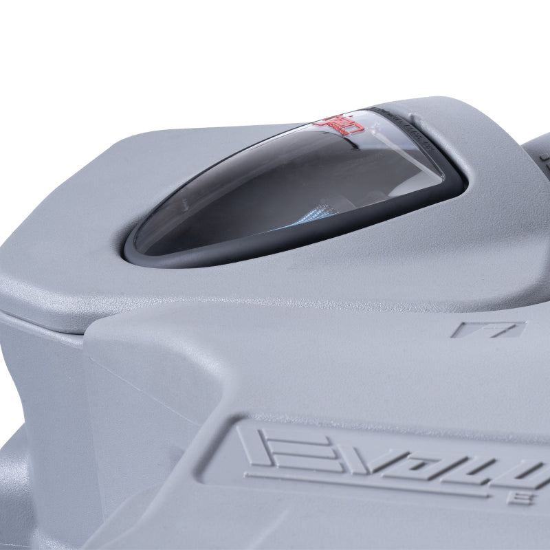 Load image into Gallery viewer, Photo - Close Up
