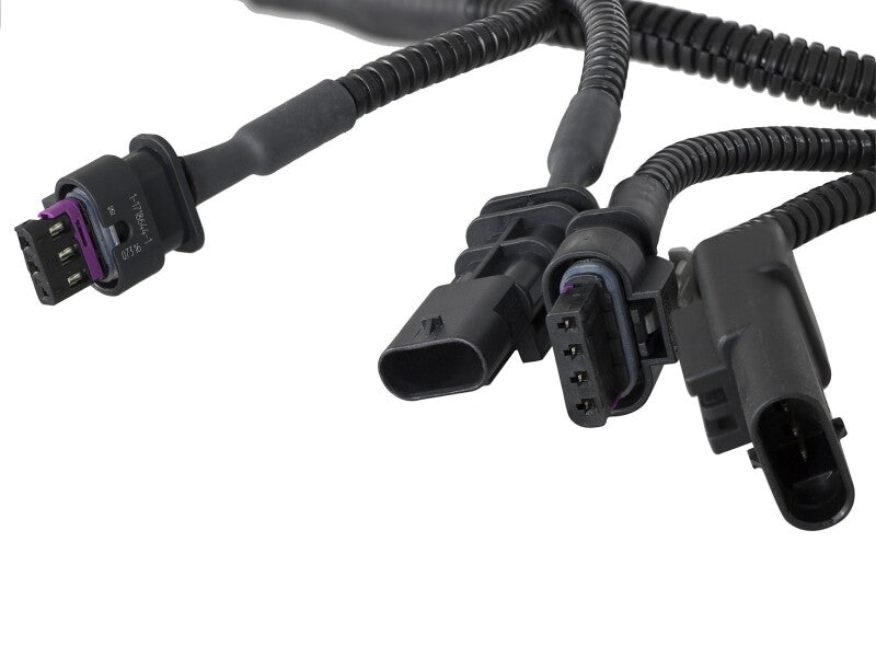 Load image into Gallery viewer, Photo - Close Up
