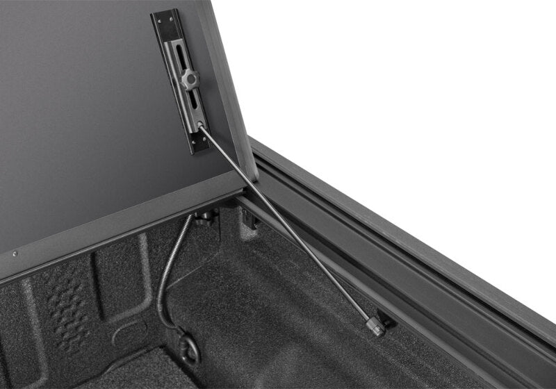 Load image into Gallery viewer, Photo - Close Up
