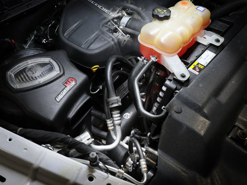 Load image into Gallery viewer, Photo - Mounted
