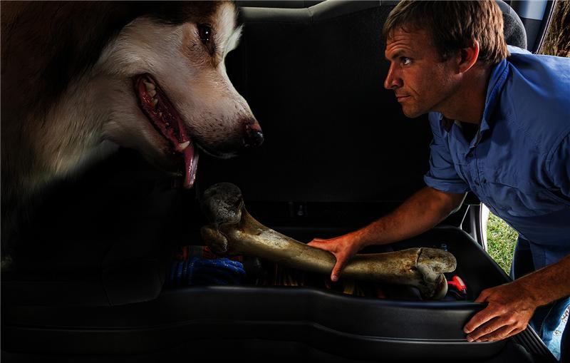 Load image into Gallery viewer, Photo - Primary
