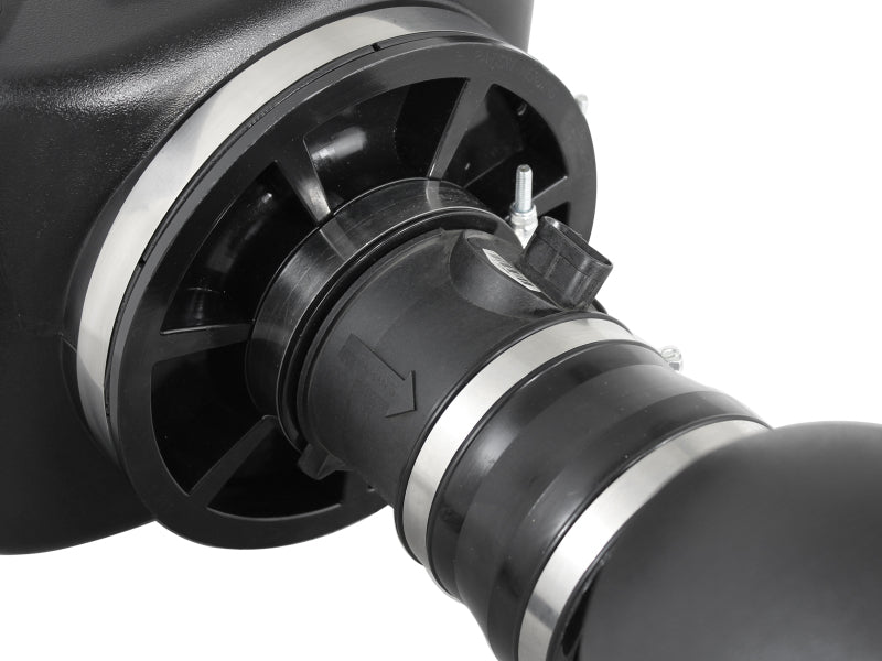 Load image into Gallery viewer, Photo - Unmounted
