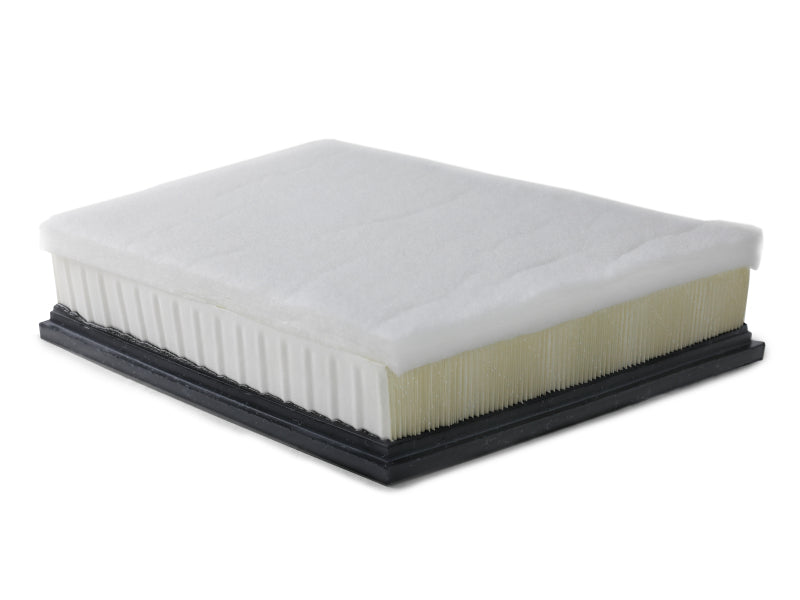 Load image into Gallery viewer, Photo - Unmounted
