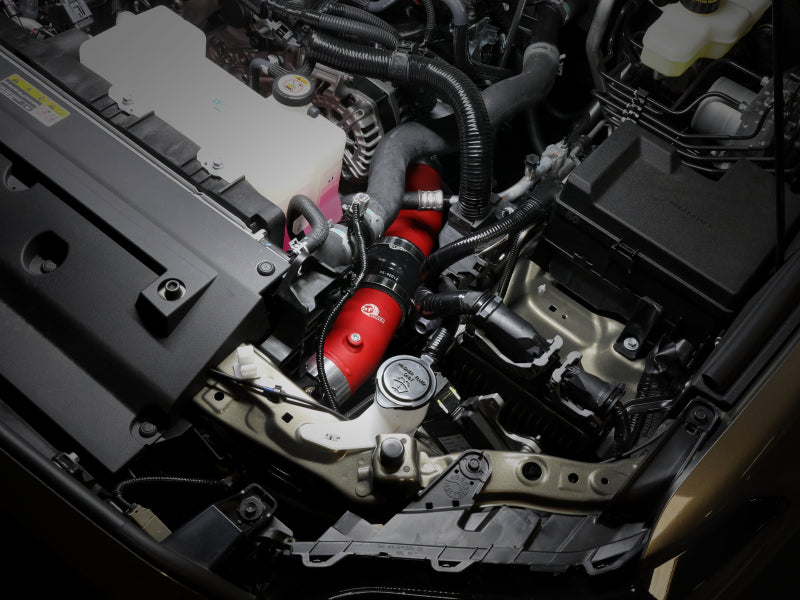 Load image into Gallery viewer, Photo - Mounted
