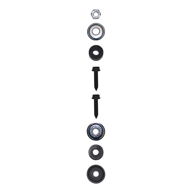 Load image into Gallery viewer, Photo - Close Up
