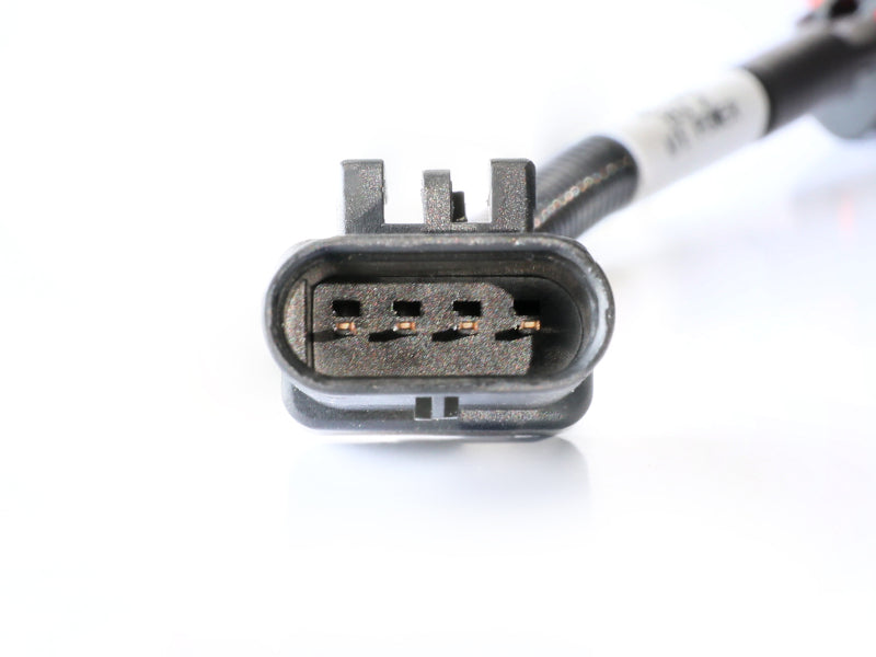 Load image into Gallery viewer, Photo - Unmounted
