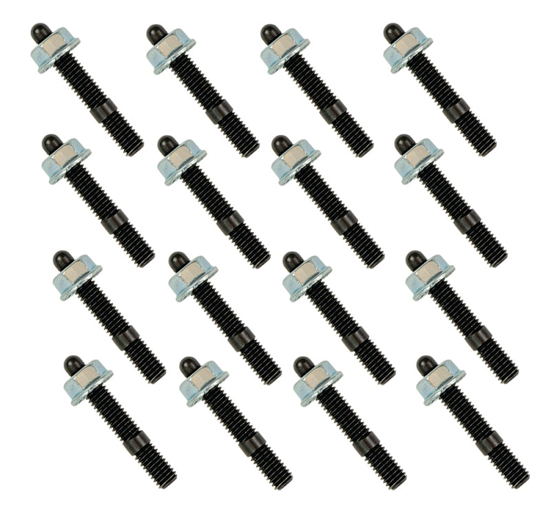 Load image into Gallery viewer, Moroso Ford Coyote 5.2L/Voodoo 5.2L Oil Pan Stud Kit
