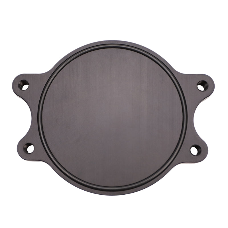Load image into Gallery viewer, Wehrli 01-16 Chevrolet 6.6L Duramax Valley CP3 Block Off Plate
