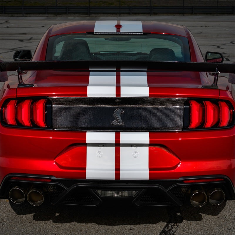 Load image into Gallery viewer, Ford Racing 20-22 Mustang GT500 Deck Lid Trim Panel
