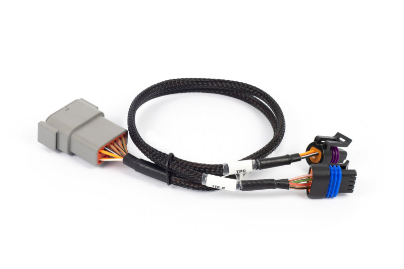 Load image into Gallery viewer, Haltech NEXUS Rebel LS Cable Throttle &amp; IAC Sub-Harness
