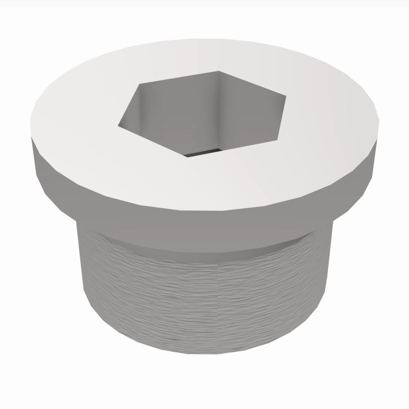 Load image into Gallery viewer, MagnaFlow Plug Hex Flange O2 Boss (20-Pk)
