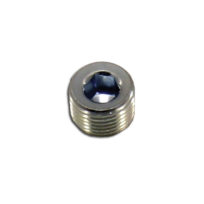 Load image into Gallery viewer, Nitrous Express 1/8 NPT Plug
