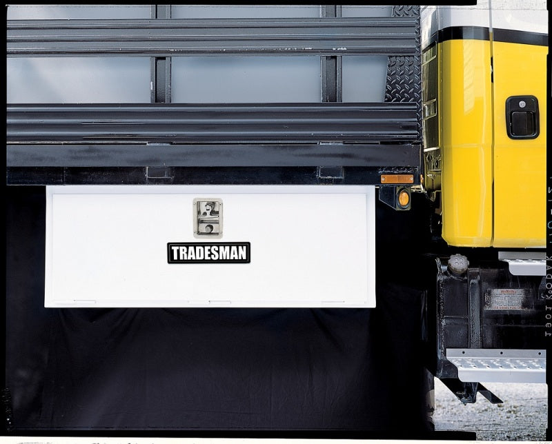 Load image into Gallery viewer, Tradesman Steel Underbody Truck Tool Box (36in.) - White
