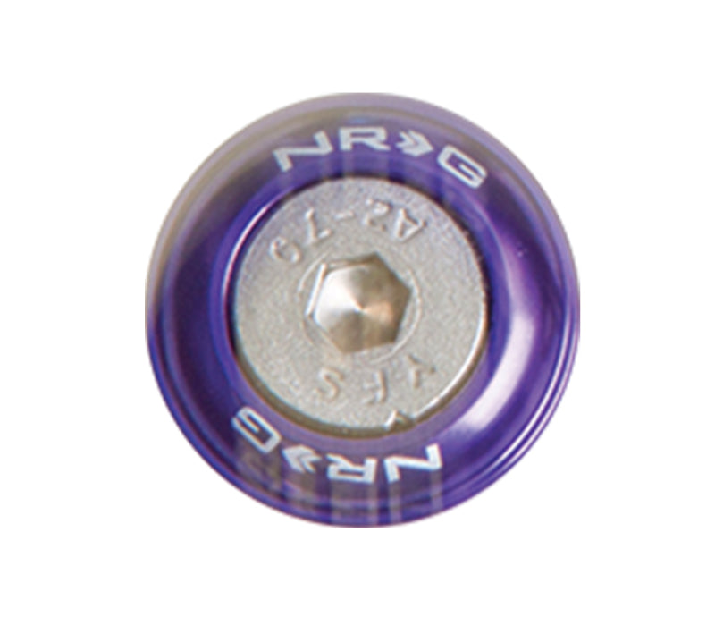 Load image into Gallery viewer, NRG Fender Washer Kit w/Rivets For Metal (Purple) - Set of 10
