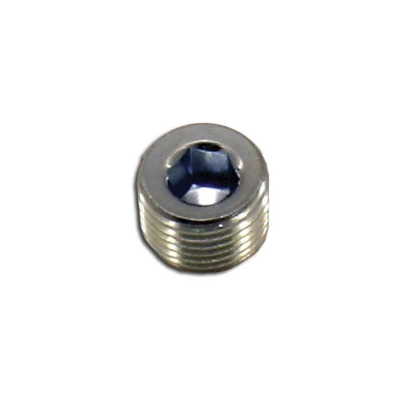 Load image into Gallery viewer, Nitrous Express 1/16 NPT Plug
