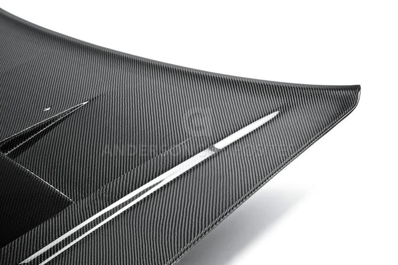 Load image into Gallery viewer, Anderson Composites 11-13 Dodge Charger Type-TS Hood
